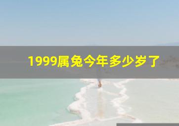 1999属兔今年多少岁了