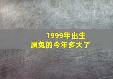 1999年出生属兔的今年多大了