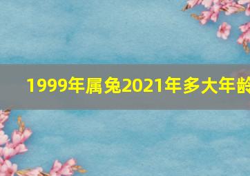 1999年属兔2021年多大年龄