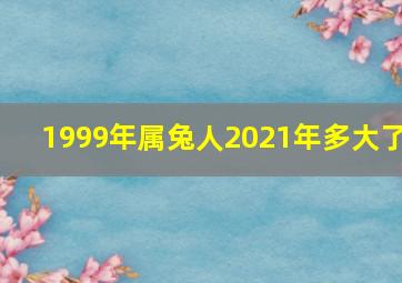 1999年属兔人2021年多大了