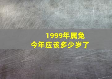 1999年属兔今年应该多少岁了