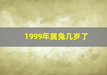 1999年属兔几岁了