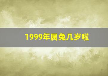 1999年属兔几岁啦