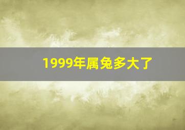 1999年属兔多大了