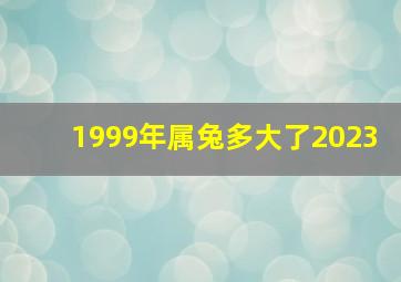 1999年属兔多大了2023