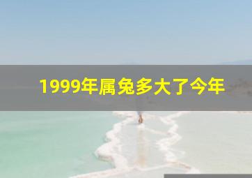 1999年属兔多大了今年