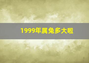 1999年属兔多大啦