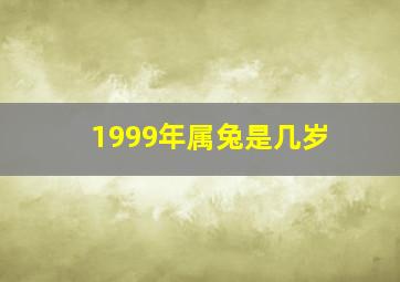 1999年属兔是几岁