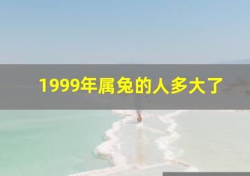 1999年属兔的人多大了