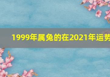 1999年属兔的在2021年运势