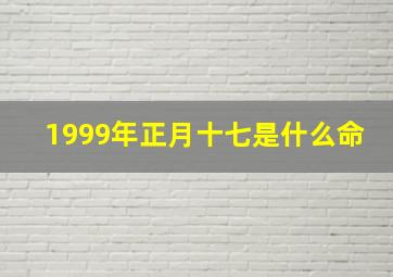 1999年正月十七是什么命