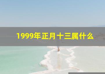 1999年正月十三属什么