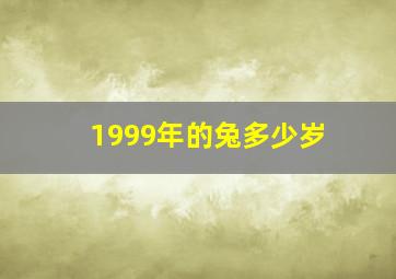 1999年的兔多少岁