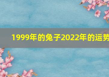 1999年的兔子2022年的运势