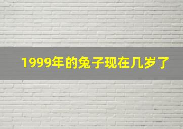 1999年的兔子现在几岁了