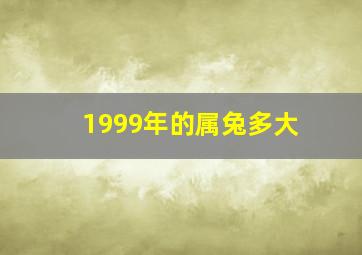 1999年的属兔多大