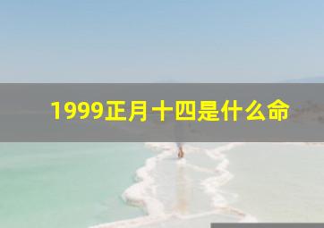 1999正月十四是什么命