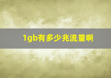 1gb有多少兆流量啊