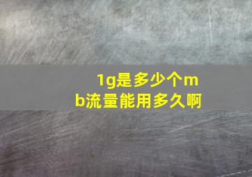 1g是多少个mb流量能用多久啊