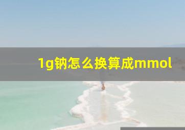 1g钠怎么换算成mmol