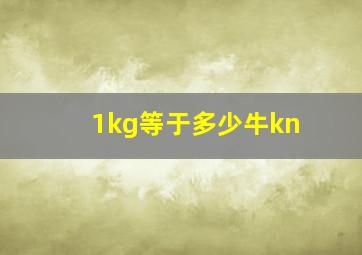 1kg等于多少牛kn