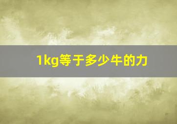 1kg等于多少牛的力