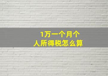 1万一个月个人所得税怎么算