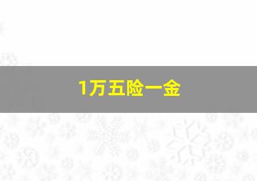 1万五险一金