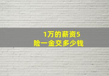 1万的薪资5险一金交多少钱