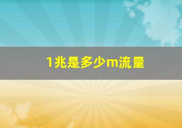 1兆是多少m流量