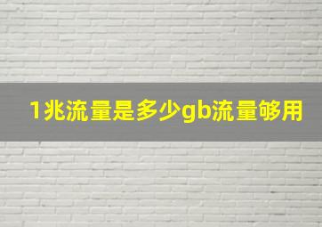 1兆流量是多少gb流量够用