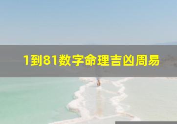 1到81数字命理吉凶周易