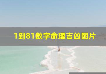 1到81数字命理吉凶图片