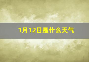 1月12日是什么天气