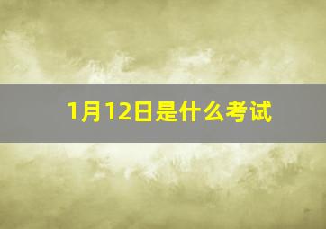 1月12日是什么考试