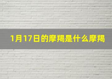 1月17日的摩羯是什么摩羯