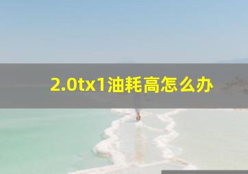 2.0tx1油耗高怎么办