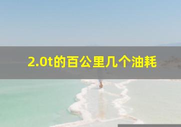 2.0t的百公里几个油耗