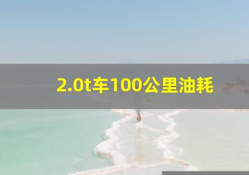 2.0t车100公里油耗