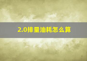 2.0排量油耗怎么算