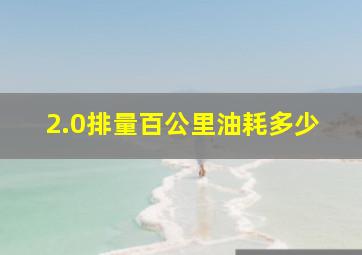 2.0排量百公里油耗多少