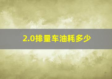 2.0排量车油耗多少