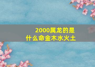 2000属龙的是什么命金木水火土