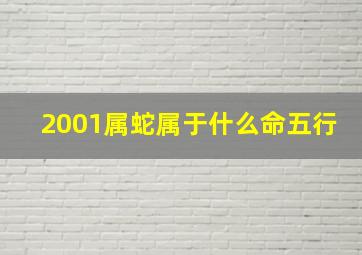 2001属蛇属于什么命五行