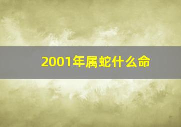 2001年属蛇什么命