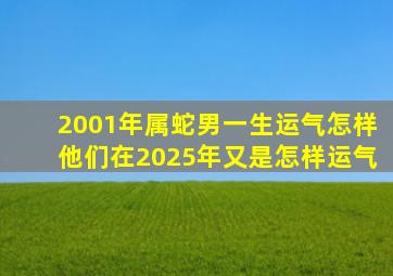 2001年属蛇男一生运气怎样他们在2025年又是怎样运气