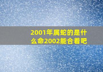 2001年属蛇的是什么命2002能合着吧