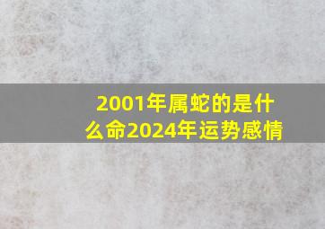 2001年属蛇的是什么命2024年运势感情