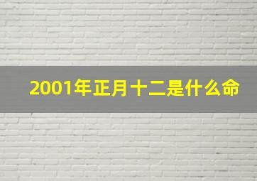 2001年正月十二是什么命