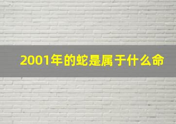 2001年的蛇是属于什么命